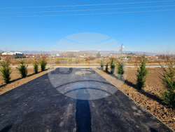 Северна Македония - Мега парк - „ЕС за чист въздух” - дръвчета - засаждане