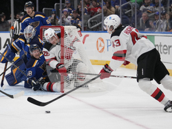Devils Blues Hockey