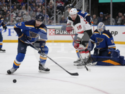 Devils Blues Hockey