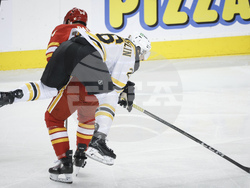 Bruins Flames Hockey