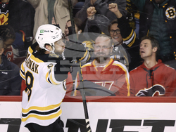 Bruins Flames Hockey
