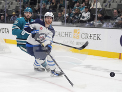 Jets Sharks Hockey
