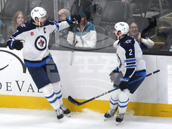 Jets Sharks Hockey