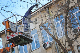 Варна - опасни дървета - премахване