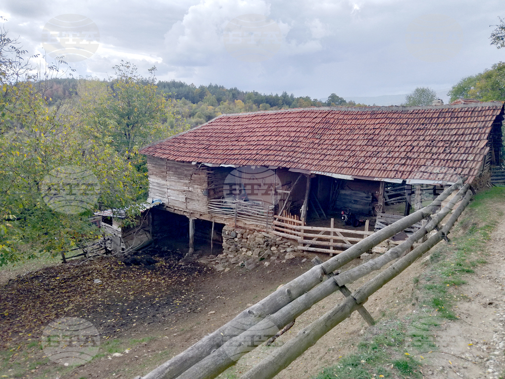 Сърбия - село Белут - репортаж