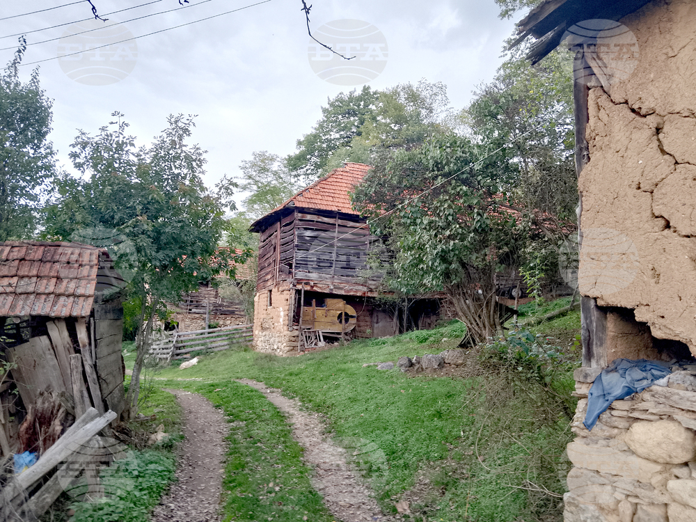 Сърбия - село Белут - репортаж