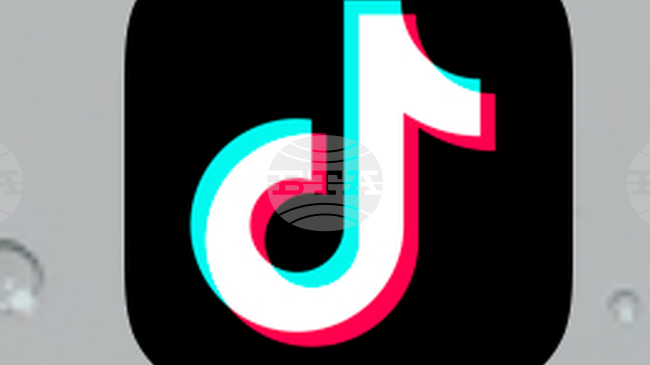 Report Finds TikTok's Role in Bulgaria Is Growing, Used for Manipulating Public Opinion