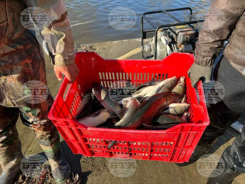 Зарибиха водното огледало на река Тунджа в Ямбол с един тон шаран и бял амур