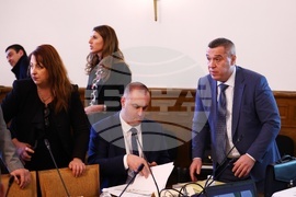 Народно събрание - Временната комисия - животни - заседание