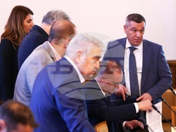 Народно събрание - Временната комисия - животни - заседание