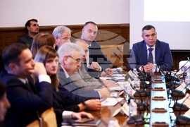 Народно събрание - Временната комисия - животни - заседание