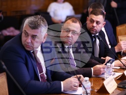 Народно събрание - Временната комисия - животни - заседание