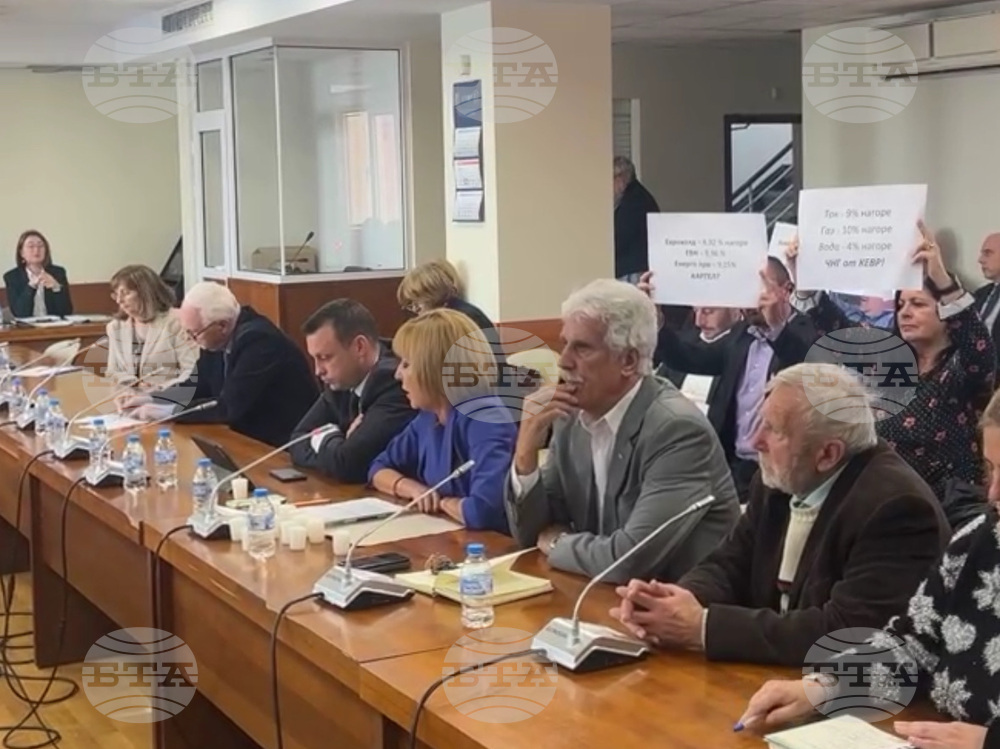 Манолова: БСП-Обединена левица да предложи мораториум върху цените на тока и водата