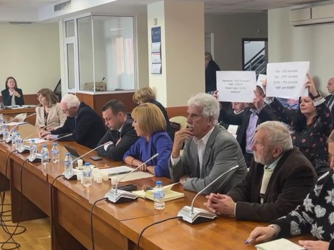 Манолова: БСП-Обединена левица да предложи мораториум върху цените на тока и водата