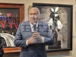 Плевен - арт зала - откриване