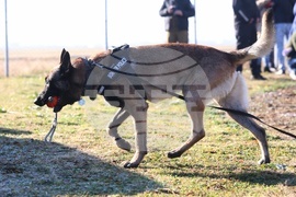 Главна дирекция “Гранична полиция”- Дядо Коледа - посрещане