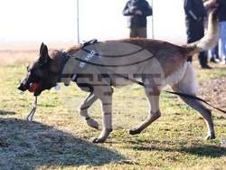 Главна дирекция “Гранична полиция”- Дядо Коледа - посрещане