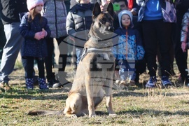 Главна дирекция “Гранична полиция”- Дядо Коледа - посрещане