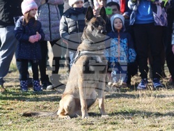 Главна дирекция “Гранична полиция”- Дядо Коледа - посрещане