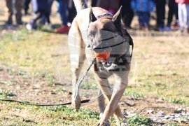 Главна дирекция “Гранична полиция”- Дядо Коледа - посрещане