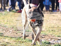 Главна дирекция “Гранична полиция”- Дядо Коледа - посрещане