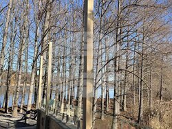 Снимка: Община Русе 