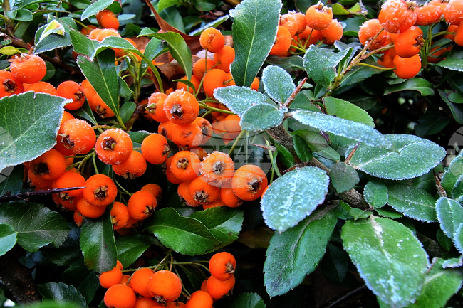 Прогноза за времето 