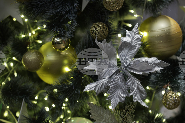 Observances: December 24-26