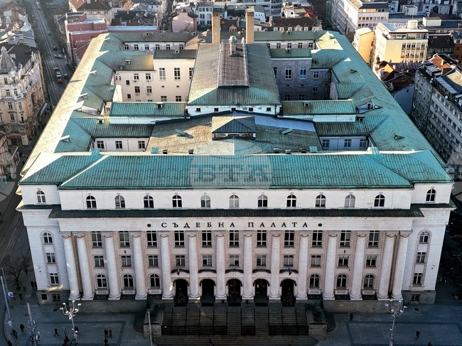 Court Refuses to Strike Delyan Peevski as Movement for Rights and Freedoms Member, Chair