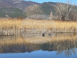 Село Конаре - 13-годишен - издирване