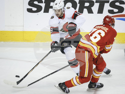 Senators Flames Hockey