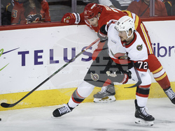 Senators Flames Hockey