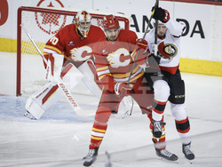 Senators Flames Hockey