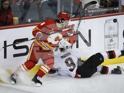 Senators Flames Hockey