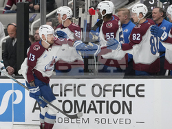 Avalanche Sharks Hockey