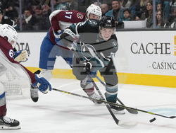 Avalanche Sharks Hockey