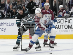 Avalanche Sharks Hockey