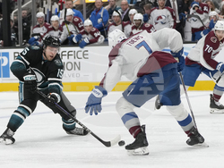Avalanche Sharks Hockey