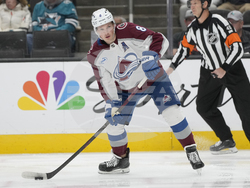 Avalanche Sharks Hockey