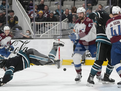 Avalanche Sharks Hockey