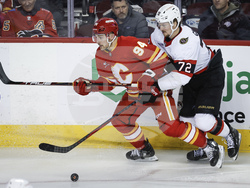 Senators Flames Hockey