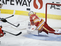 Senators Flames Hockey