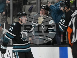 Avalanche Sharks Hockey