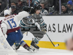 Avalanche Sharks Hockey