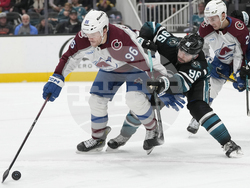 Avalanche Sharks Hockey