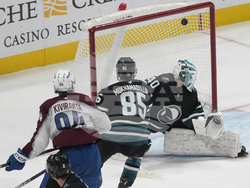 Avalanche Sharks Hockey