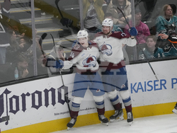 Avalanche Sharks Hockey