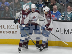 Avalanche Sharks Hockey