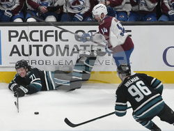 Avalanche Sharks Hockey