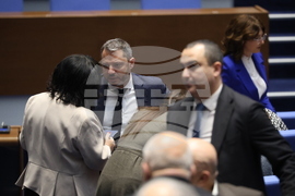 Парламент - заседание